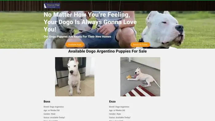 Screenshot of