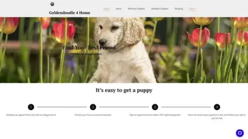 Screenshot of