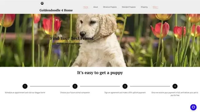 Screenshot of