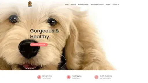 Screenshot of