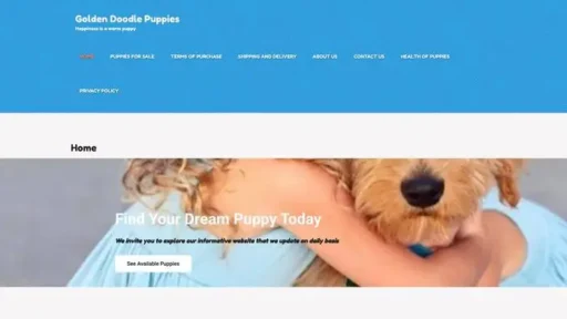 Screenshot of
