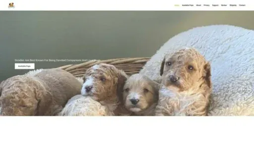 Screenshot of||