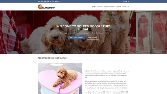 Screenshot of