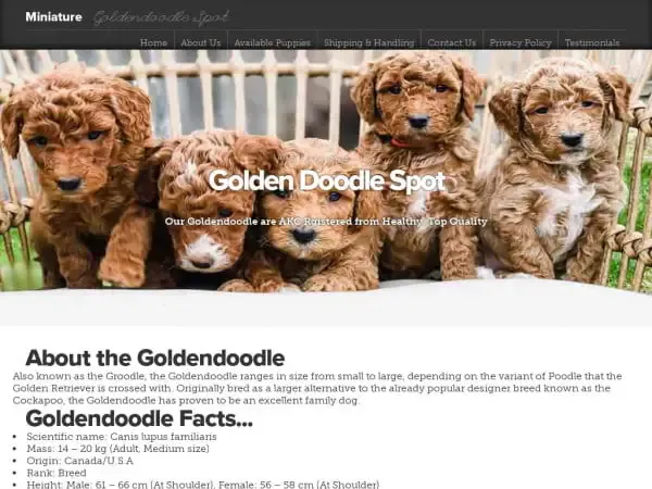 Screenshot of