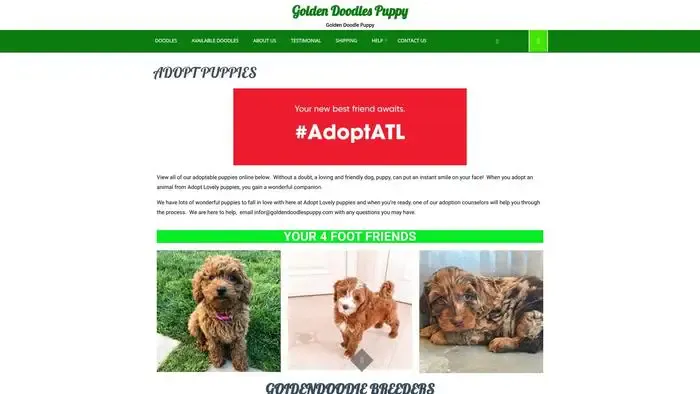 Screenshot of
