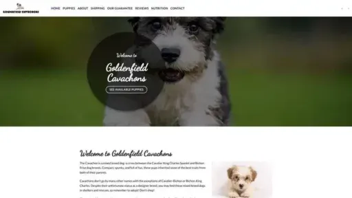 Screenshot of