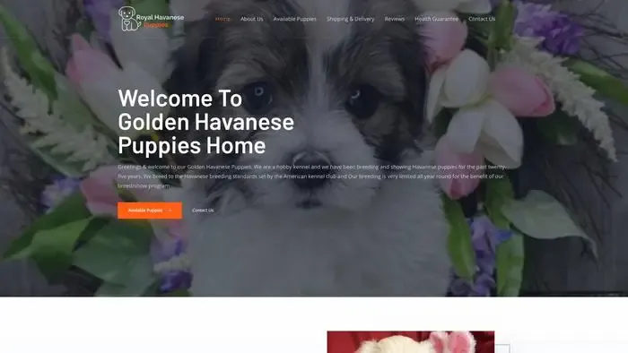 Screenshot of