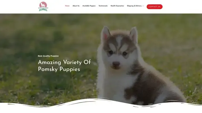 Screenshot of