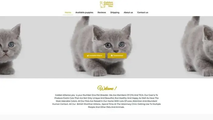 Screenshot of