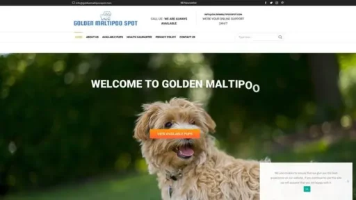 Screenshot of