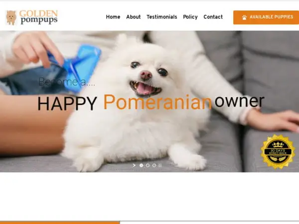 Screenshot of