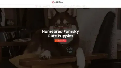 Screenshot of