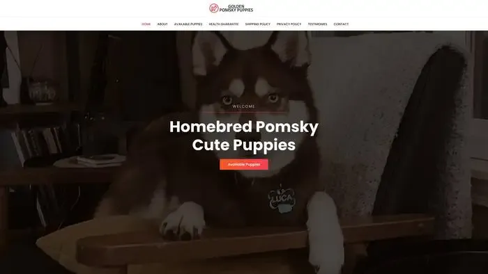 Screenshot of