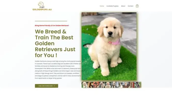 Screenshot of