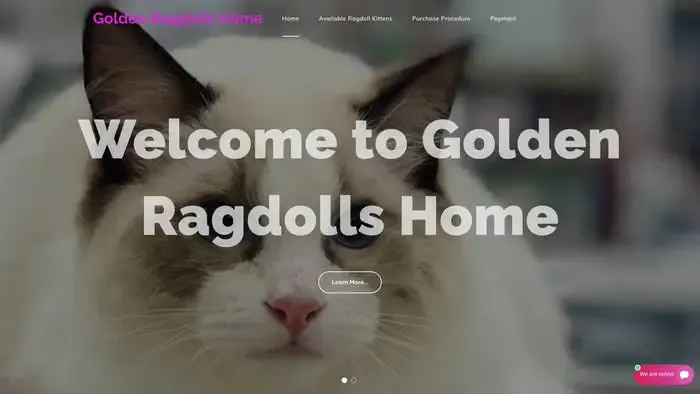 Screenshot of