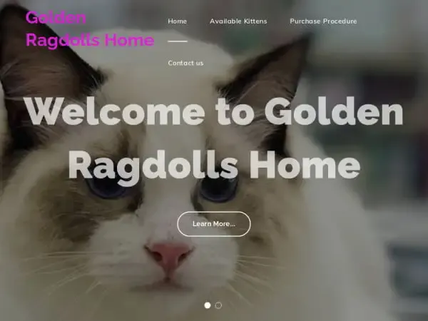 Screenshot of