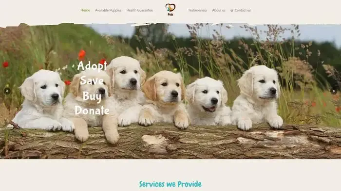 Screenshot of