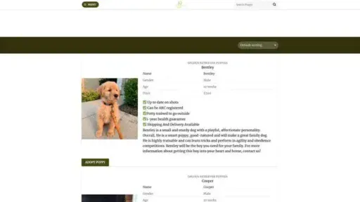 Screenshot of