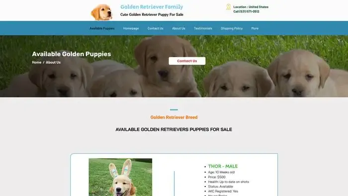 Screenshot of