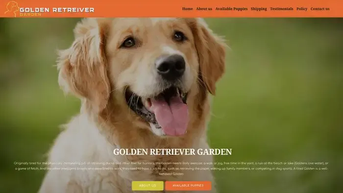 Screenshot of