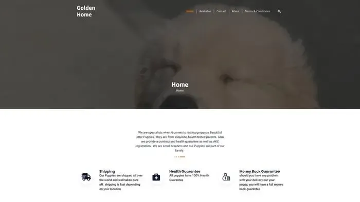 Screenshot of