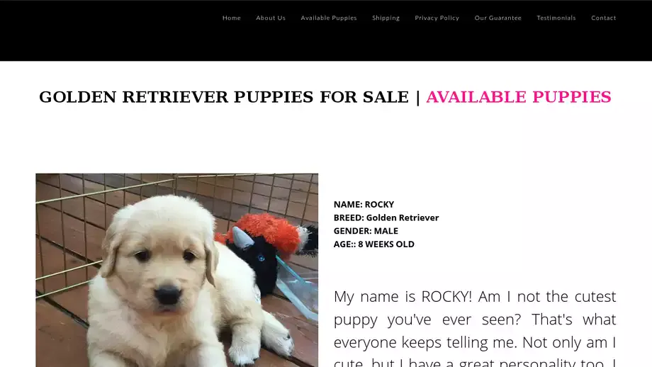 Screenshot of