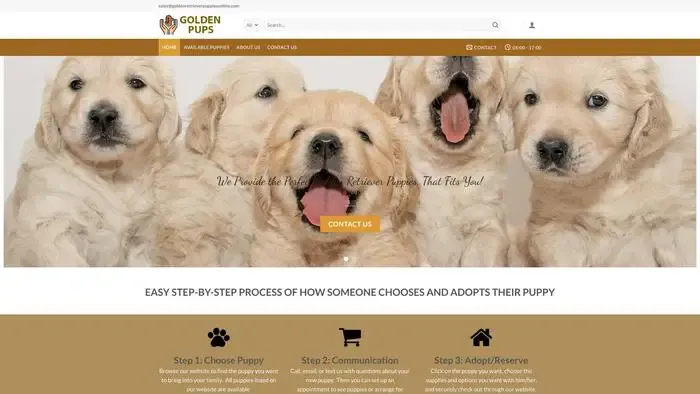 Screenshot of