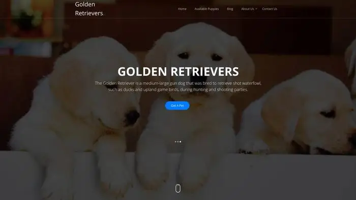 Screenshot of