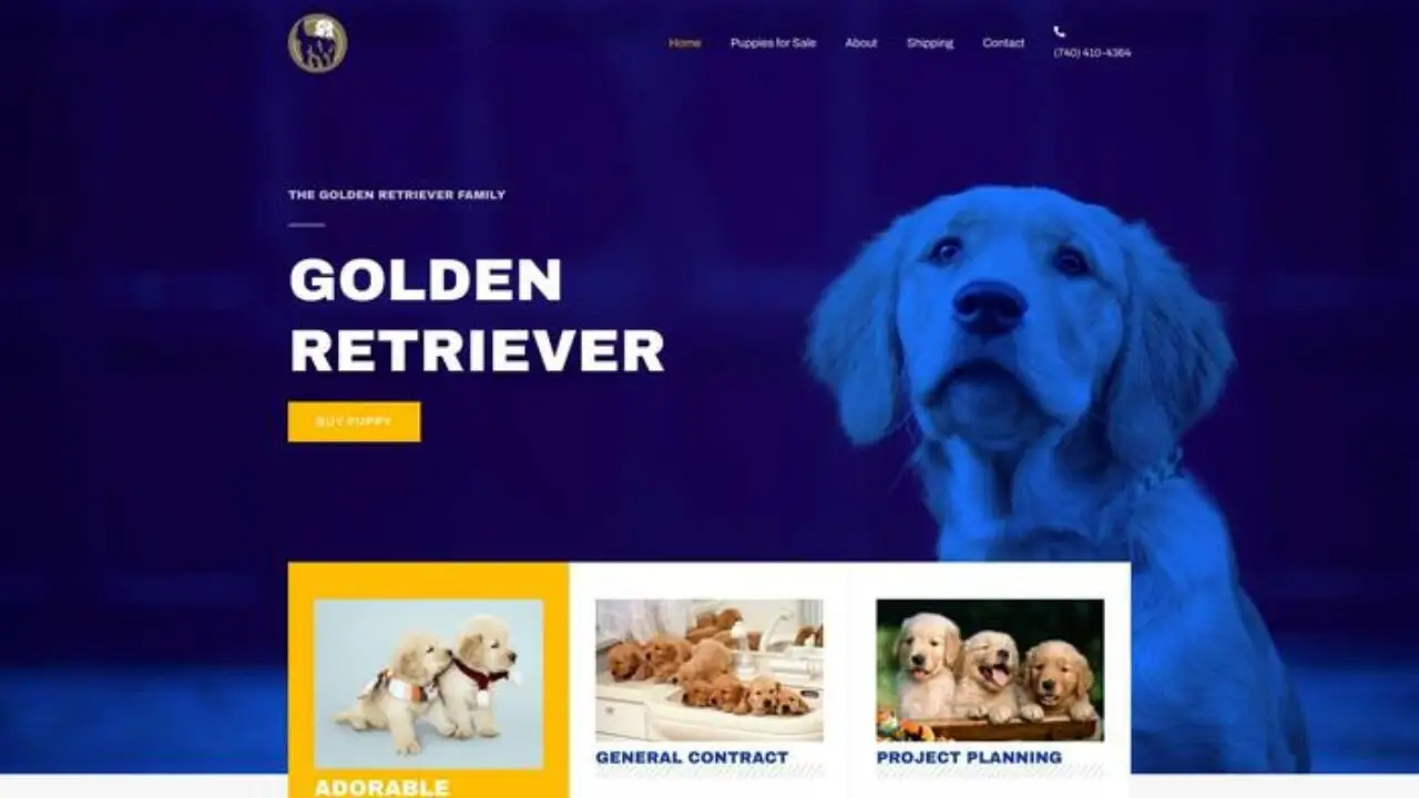 Screenshot of||