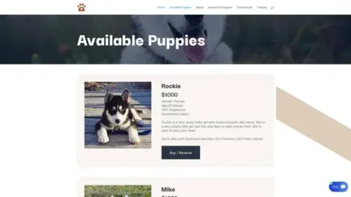 Screenshot of