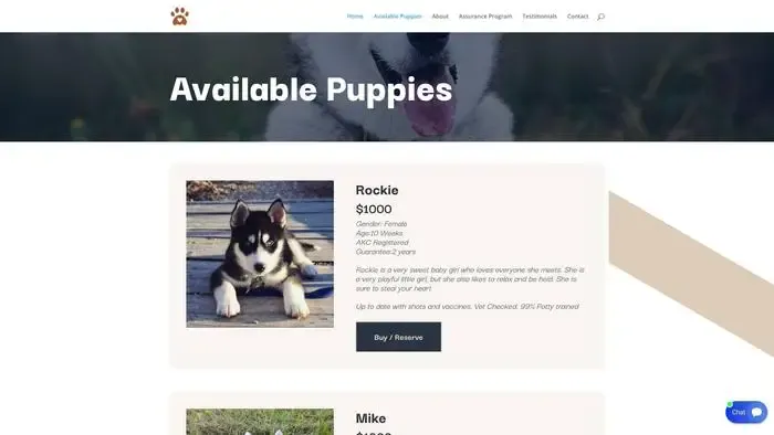 Screenshot of