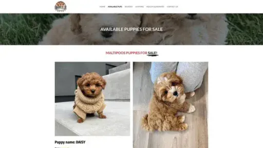 Screenshot of