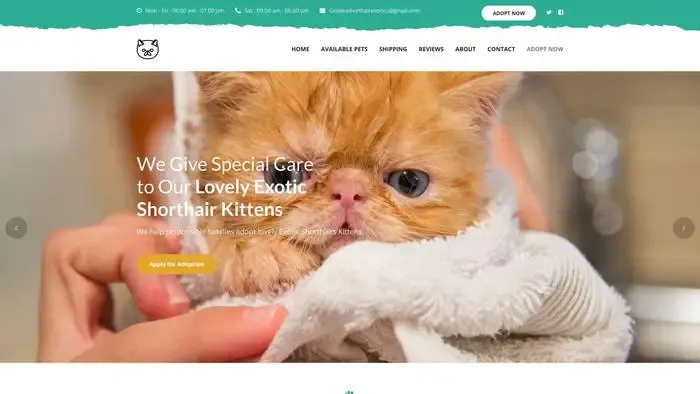 Screenshot of