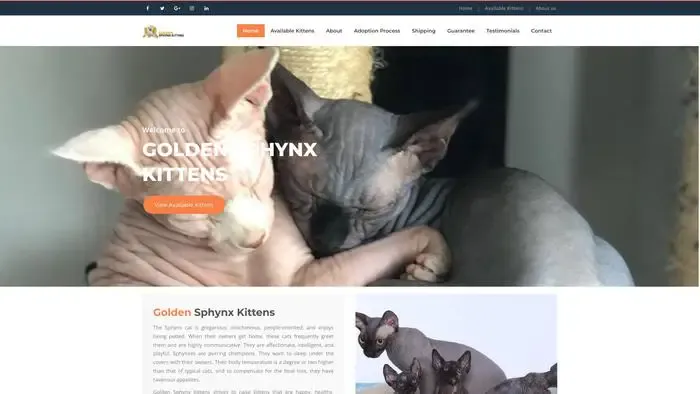 Screenshot of