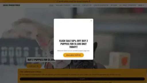 Screenshot of