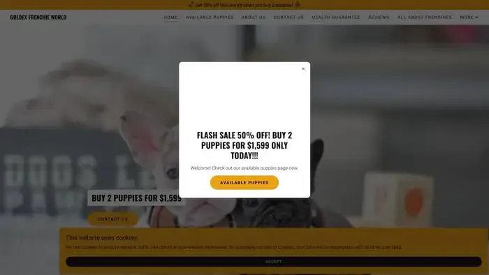Screenshot of