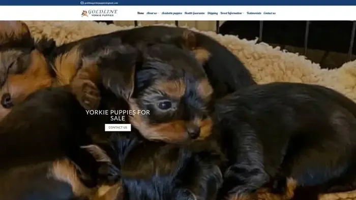 Screenshot of