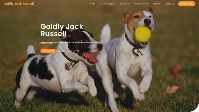 Screenshot of