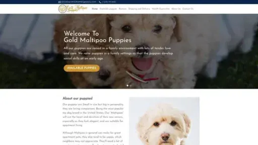 Screenshot of