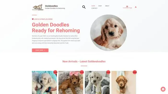 Screenshot of