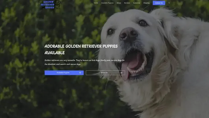 Screenshot of