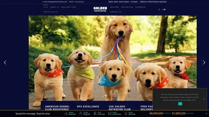 Screenshot of