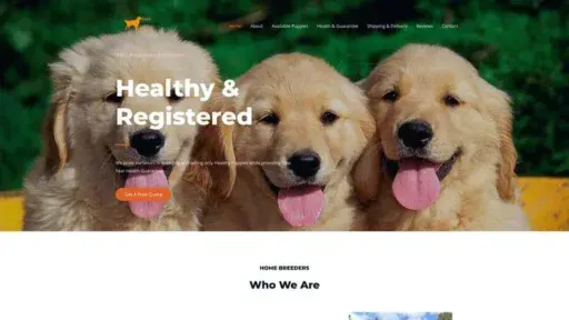 Screenshot of
