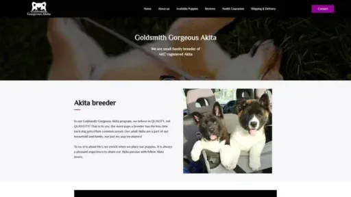 Screenshot of