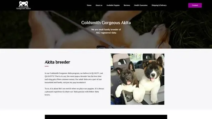 Screenshot of