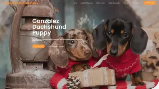 Screenshot of|