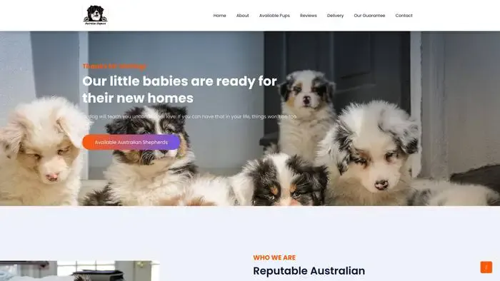 Screenshot of