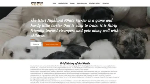 Screenshot of