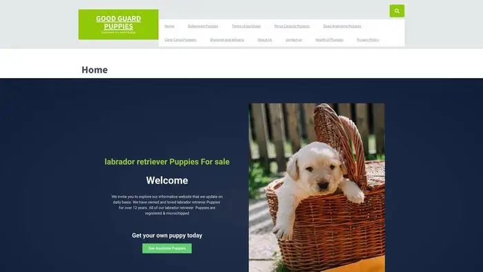 Screenshot of