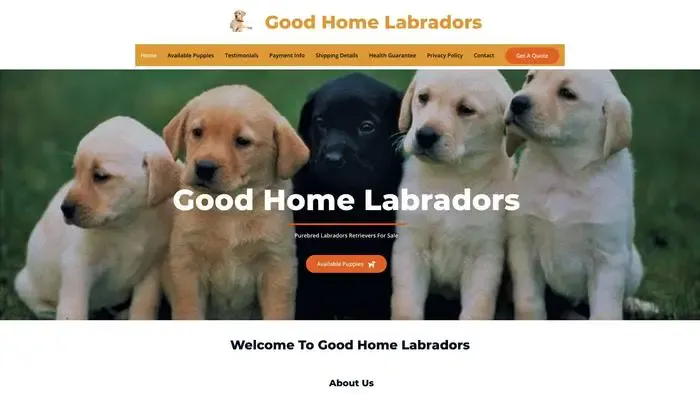 Screenshot of